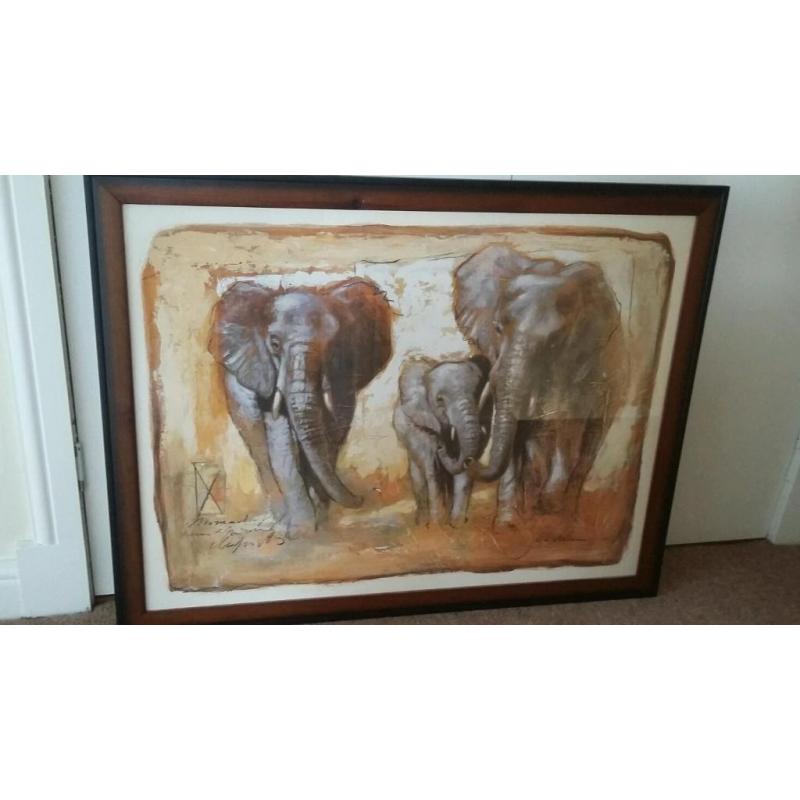 Elephant print