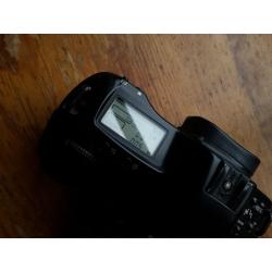 Canon 1n 35mm film camera