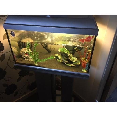 35 litre tropical fish tank for sale