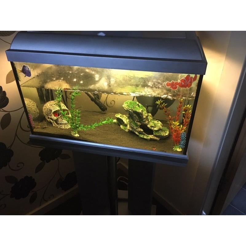 35 litre tropical fish tank for sale