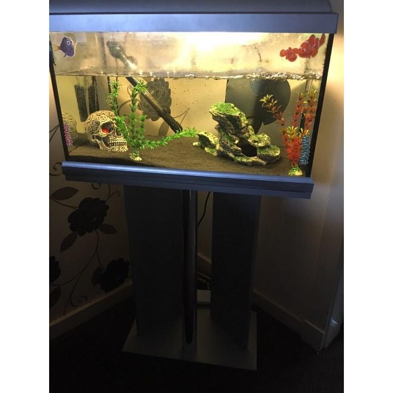 35 litre tropical fish tank for sale