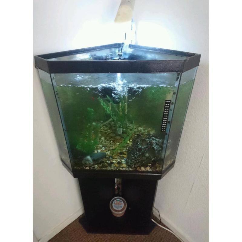 Fish tank and stand