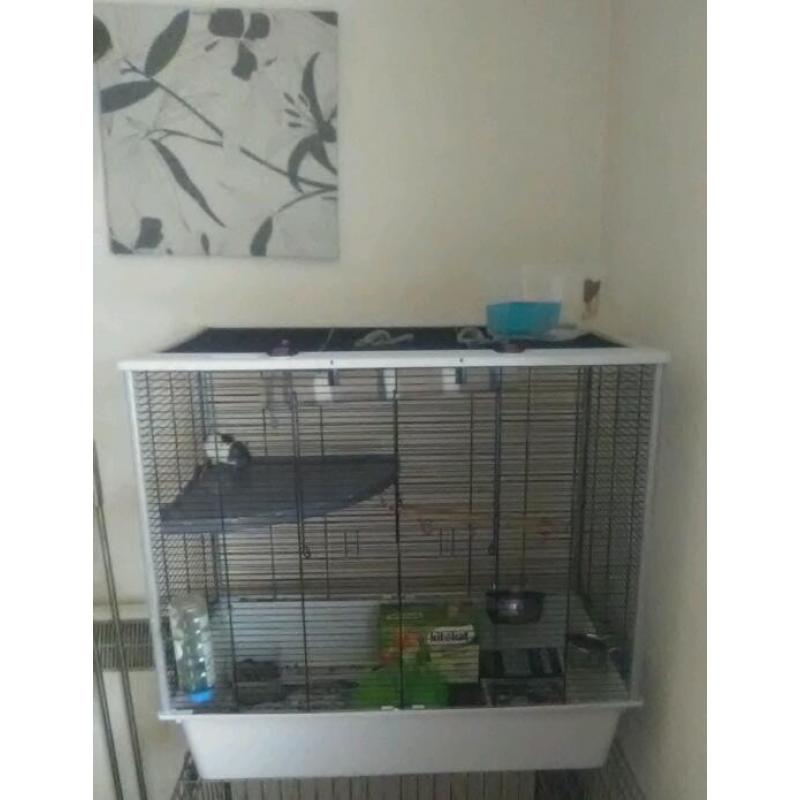 Rat/ferret cage