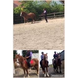 backing and schooling services