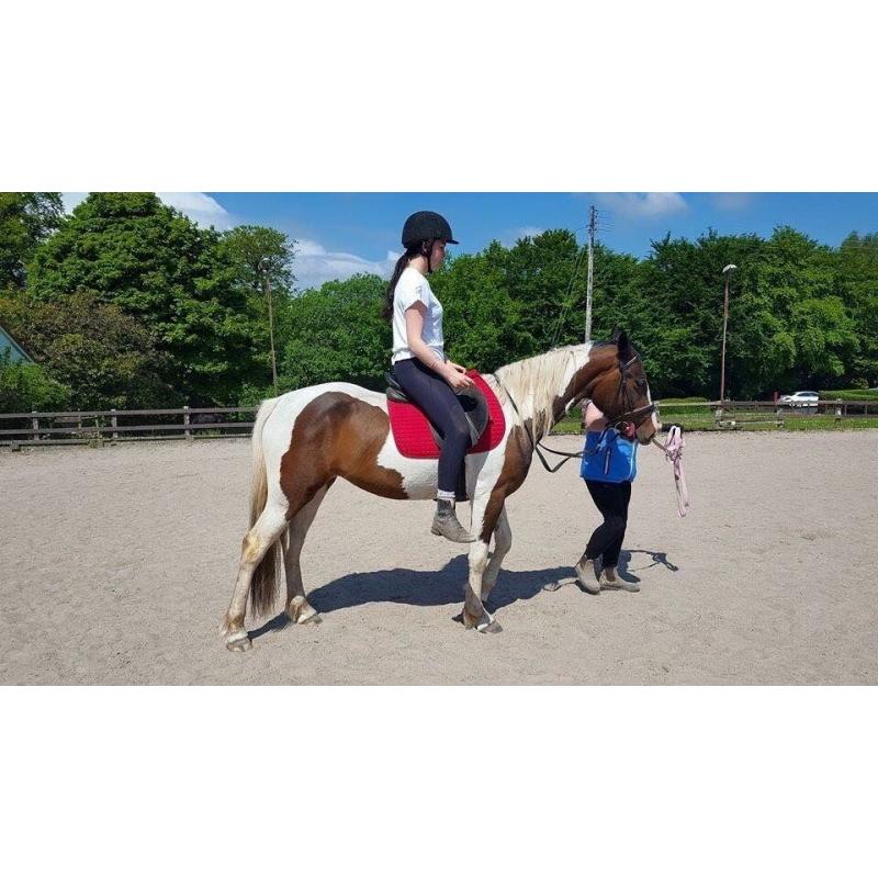 backing and schooling services
