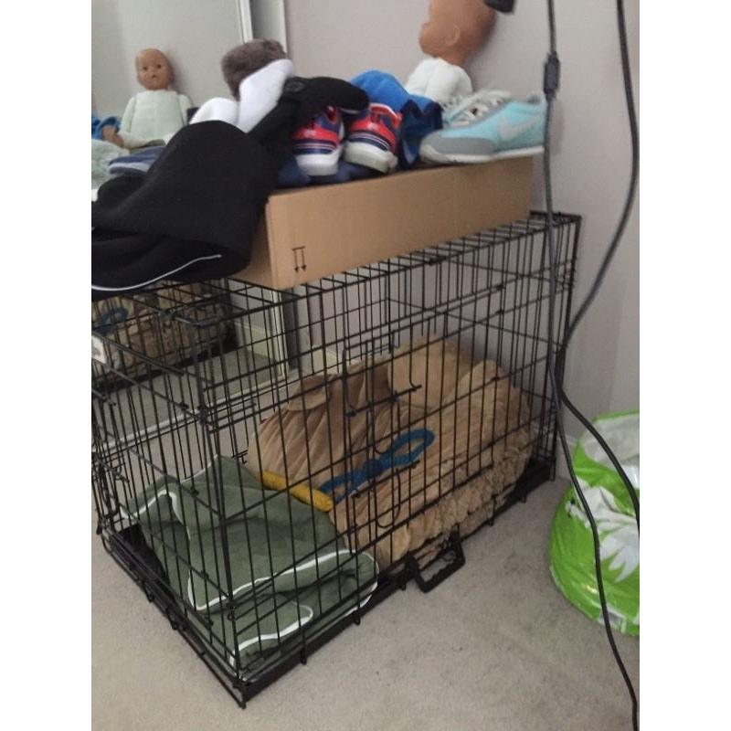 Medium sized cage was used for staffy