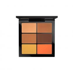 MAC Cosmetics Pro Conceal and Correct Palette/Dark