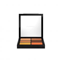 MAC Cosmetics Pro Conceal and Correct Palette/Dark