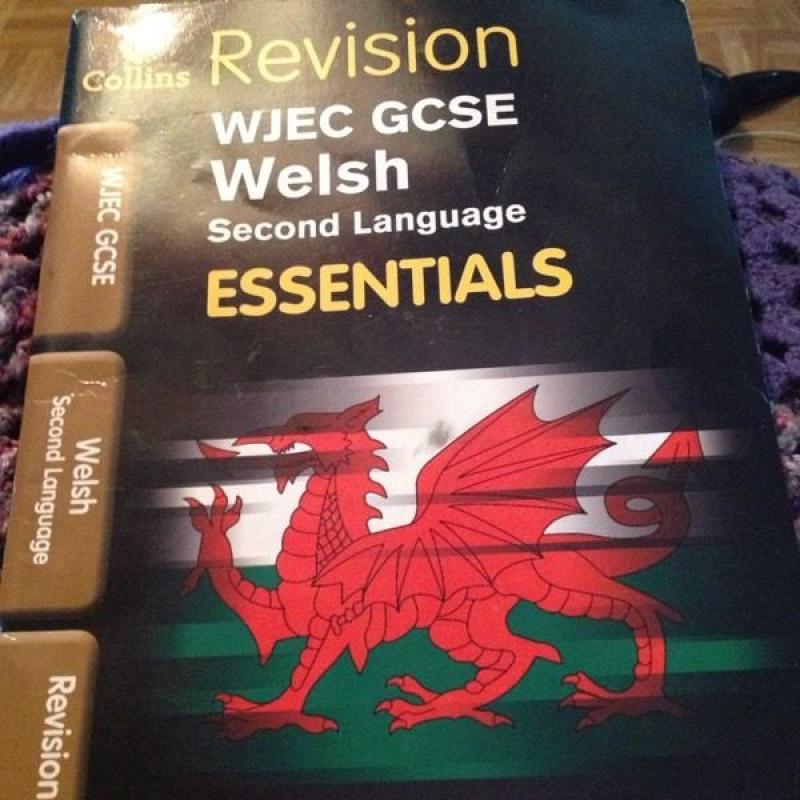 WJEC GCSE revision guide