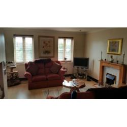 Modern townhouse has sunny double room available