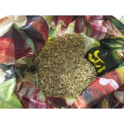 Pet Rodent Cage Lab Mice Hamsters etc