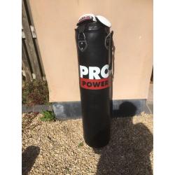 Pro Power Punch Bag