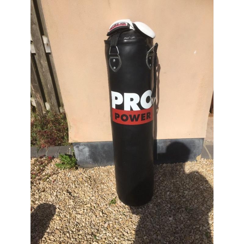 Pro Power Punch Bag