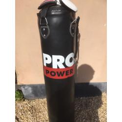 Pro Power Punch Bag