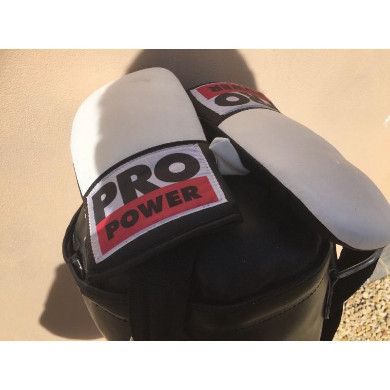 Pro Power Punch Bag
