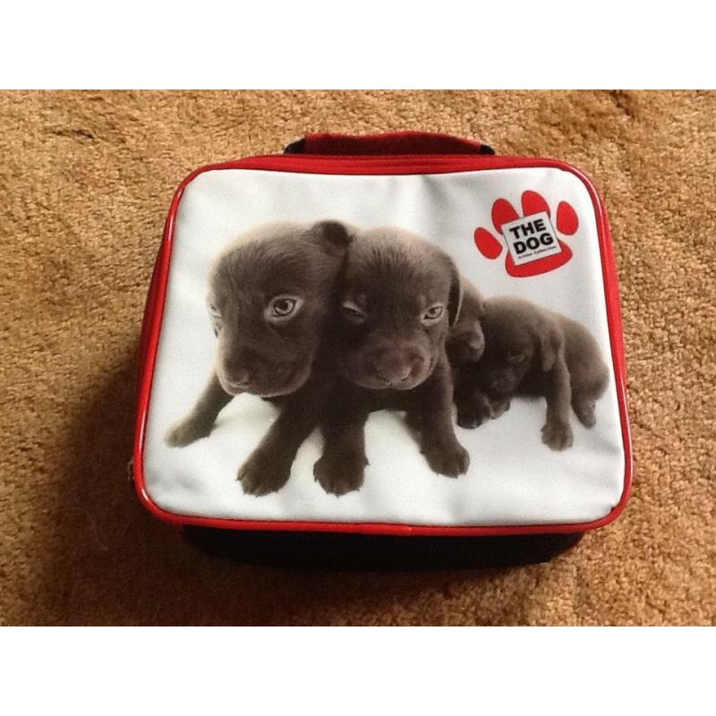 2 kid lunch bags