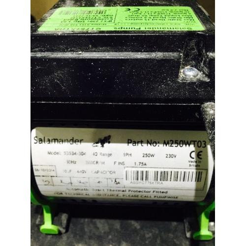Salamandar Shower Pump