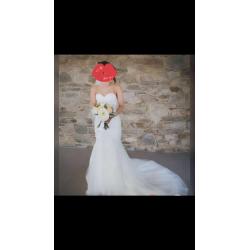Pronovias Wedding Dress