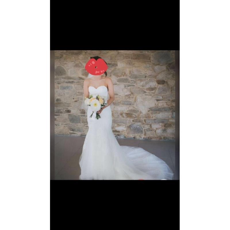 Pronovias Wedding Dress