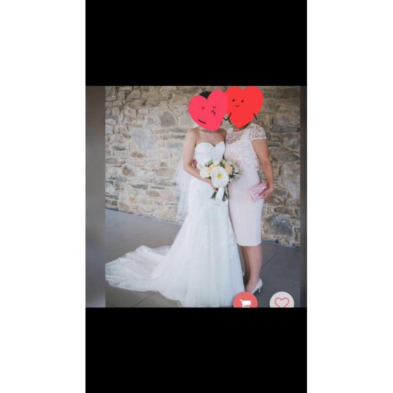 Pronovias Wedding Dress