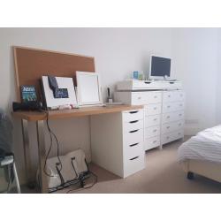 Spacious double bedroom in quiet flat.