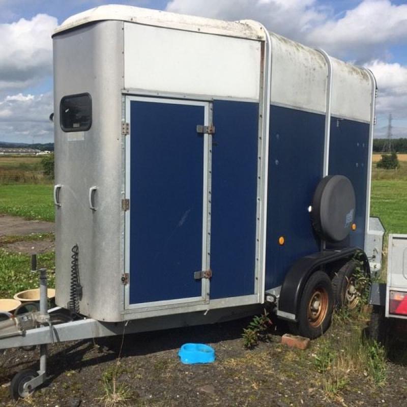 Ifor Williams horse trailer