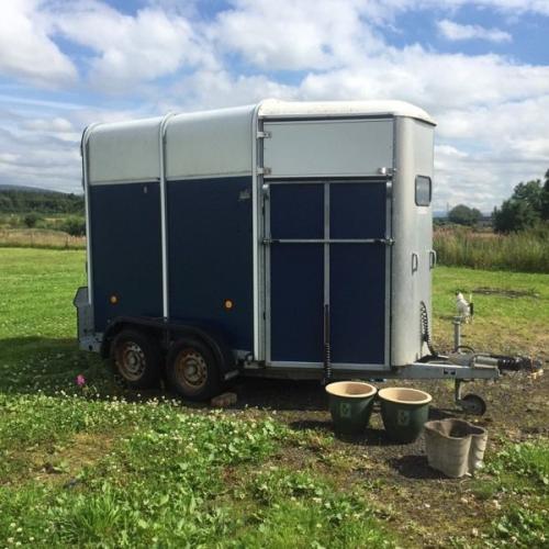 Ifor Williams horse trailer