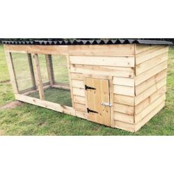 New dog kennel and run