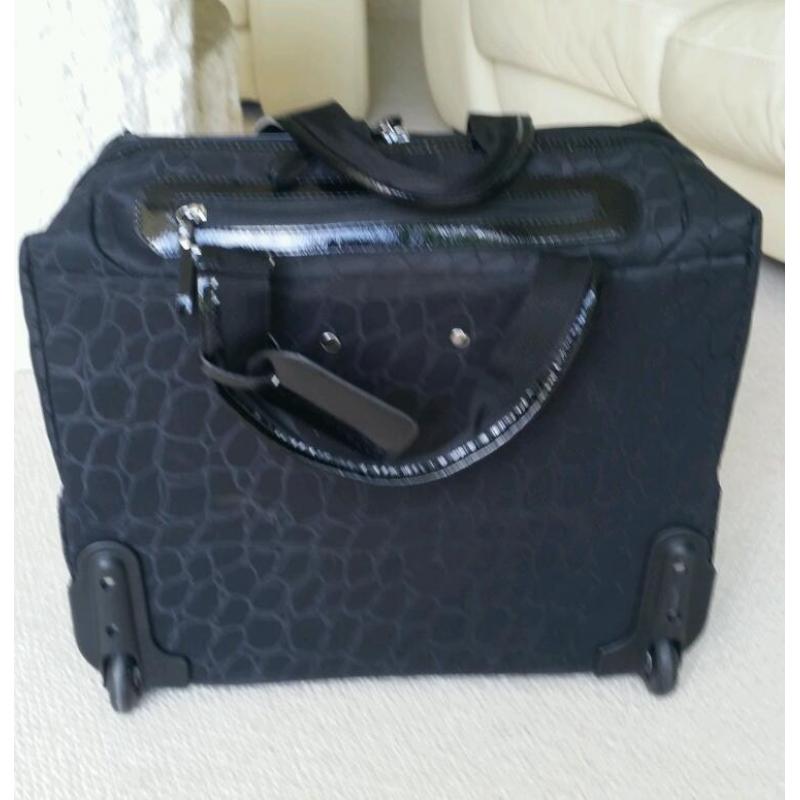Travel bag / laptop / notebook case