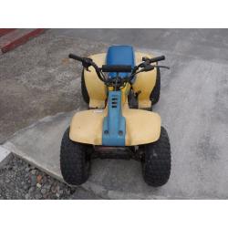 Suzuki lt50 quad