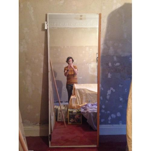 Mirrored door
