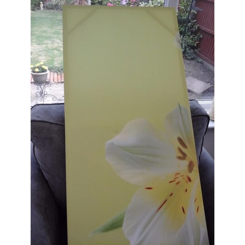 LOVELY LARGE CANVAS 3 PIECE PICTURE