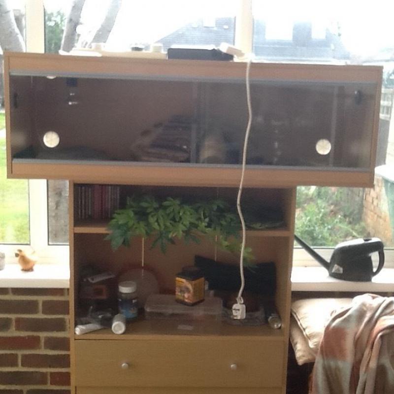 4ft vivarium for Bearded Dragons fully equipped