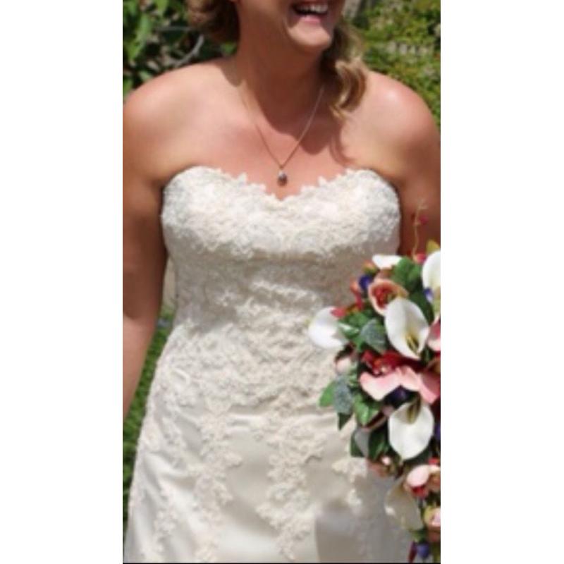 250 O/O Maggie Sottero 'Emma' champagne & Ivory lace