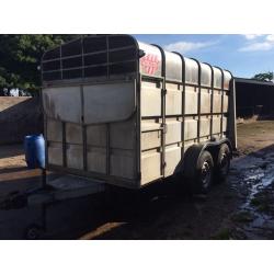Murphy cattle trailer