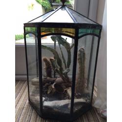 Terrarium with age and quality -designers piece