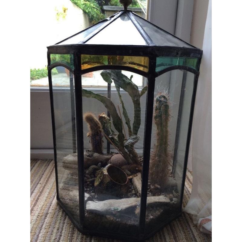 Terrarium with age and quality -designers piece