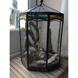 Terrarium with age and quality -designers piece
