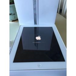 Well cared for IPad 2 -16GB white
