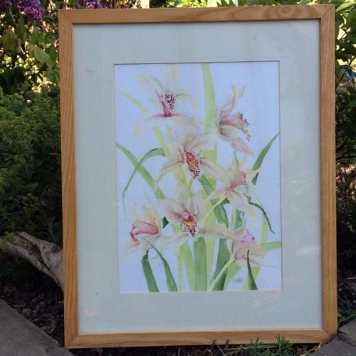Orchids