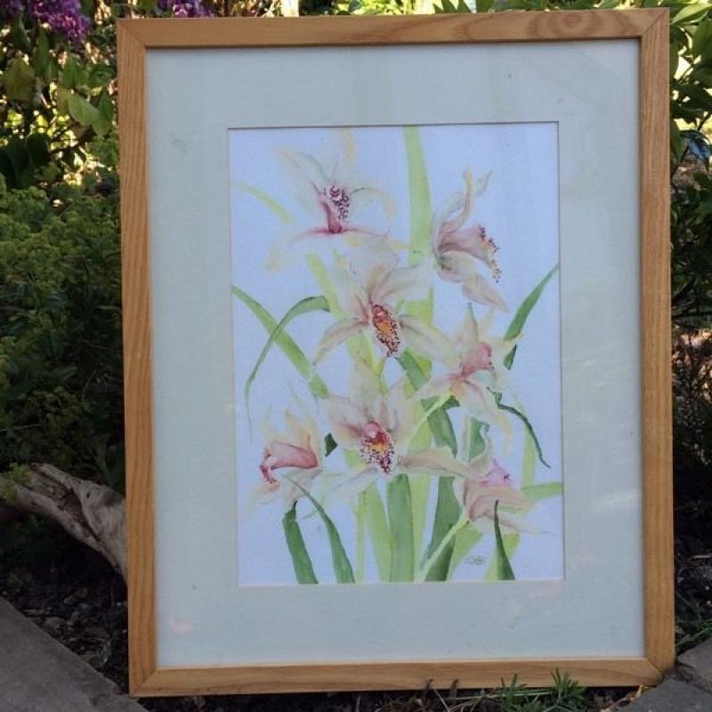 Orchids