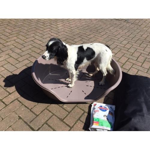 Large dog bed plus aLarge plastic bed+ Iams biscuits