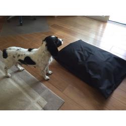 Large dog bed plus aLarge plastic bed+ Iams biscuits