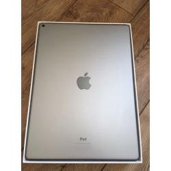 iPad Pro