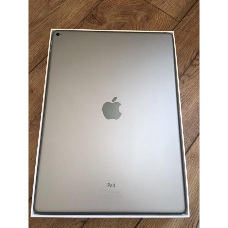 iPad Pro