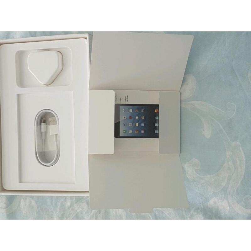 Ipad mini 16gb