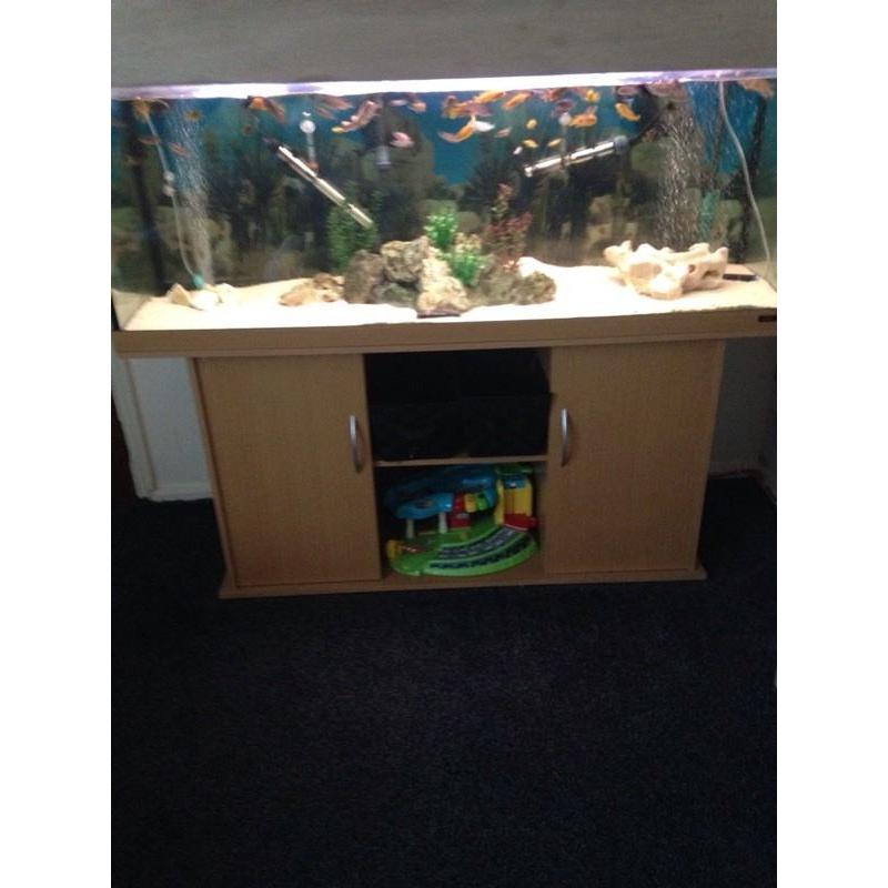 5x20x24 fish tank