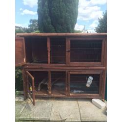 2 storey Rabbit hutch