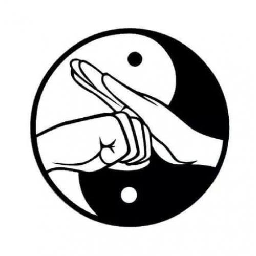 FLOWING RIVER TAI CHI. Pushhands, Qigong