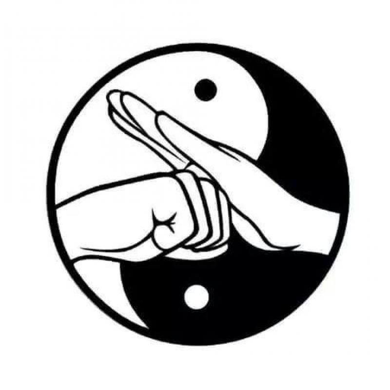 FLOWING RIVER TAI CHI. Pushhands, Qigong